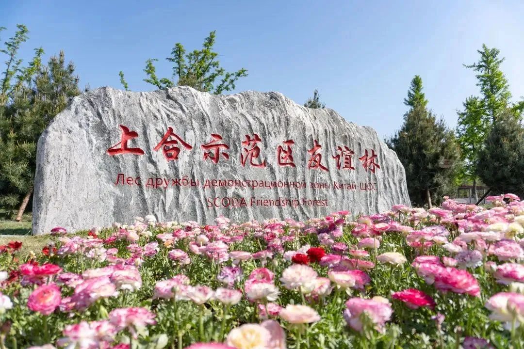 640 -9.jpg 640 -9.jpg